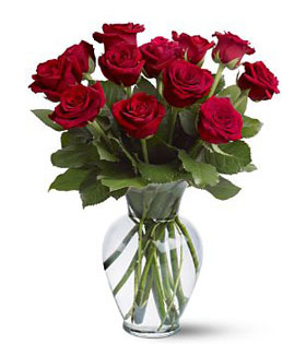 12 Red Roses