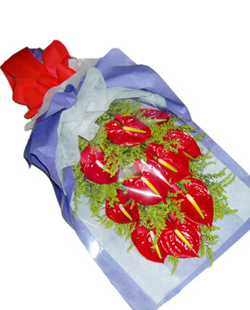 Ten Anthurium Bouquet