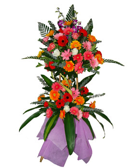 Business Flourishes