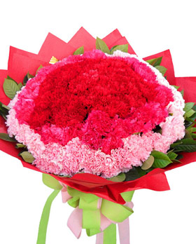 Let Love Blossom