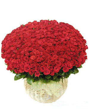 Every Day Love You